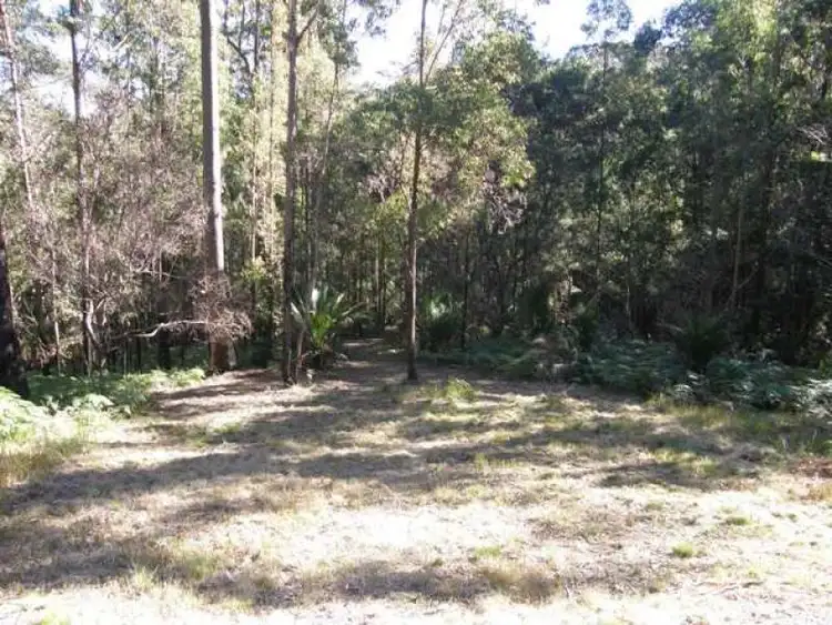 Fourth view of Homely rural property listing, 2533 Blacksmith Shop Road, Newton Boyd NSW 2370