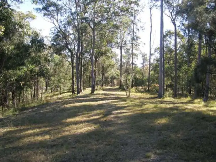 Sixth view of Homely rural property listing, 2533 Blacksmith Shop Road, Newton Boyd NSW 2370