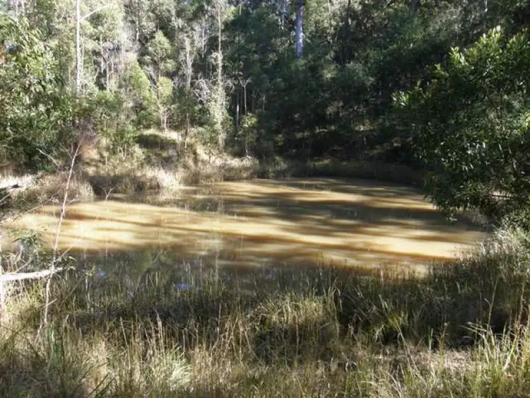 Seventh view of Homely rural property listing, 2533 Blacksmith Shop Road, Newton Boyd NSW 2370