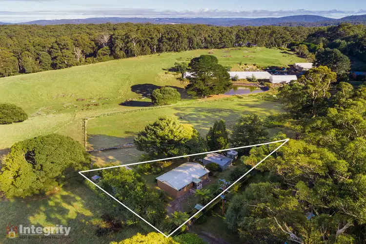 Third view of Homely house listing, 99 Old Toolangi Mount Slide Road, Toolangi VIC 3777