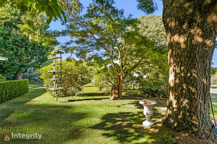 Fifth view of Homely house listing, 99 Old Toolangi Mount Slide Road, Toolangi VIC 3777