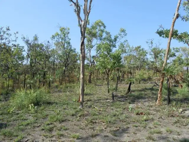Fourth view of Homely land listing, 6710 Stuart Highway, Coomalie Creek NT 822