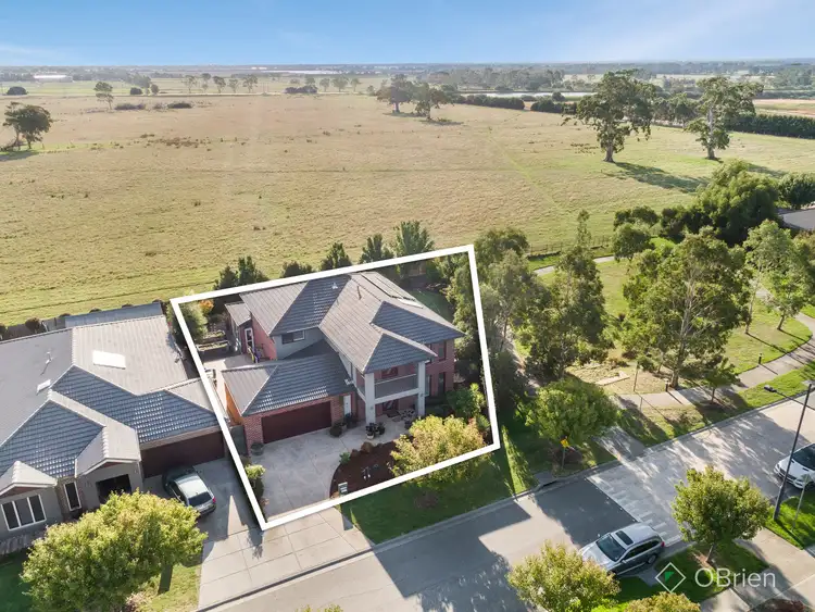 Fifth view of Homely house listing, 51 Galilee Drive, Sandhurst VIC 3977