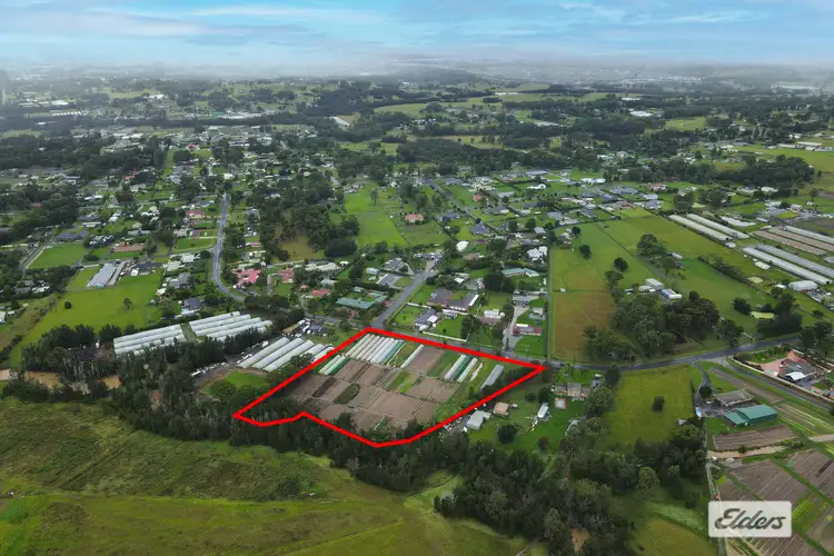 Main view of Homely rural property listing, 199 Springfield Road, Catherine Field NSW 2557