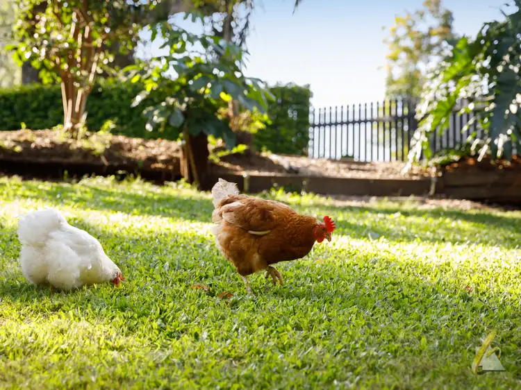 Fifth view of Homely rural property listing, 80 Pullenvale Road, Pullenvale QLD 4069
