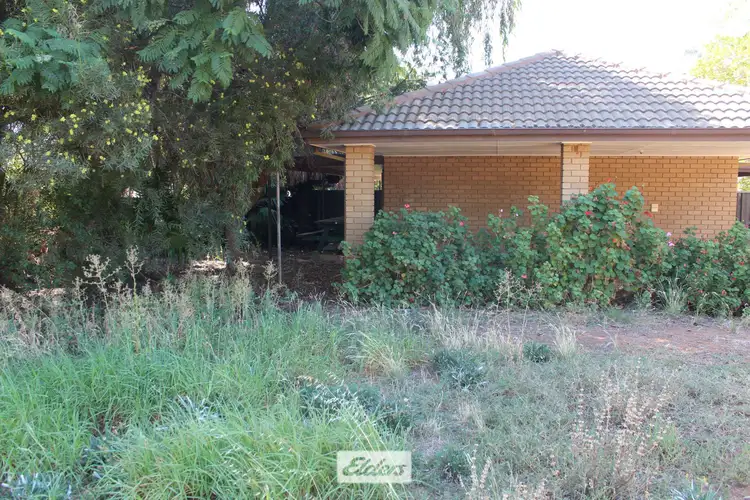 19 Cleary Drive, Robinvale VIC 3549