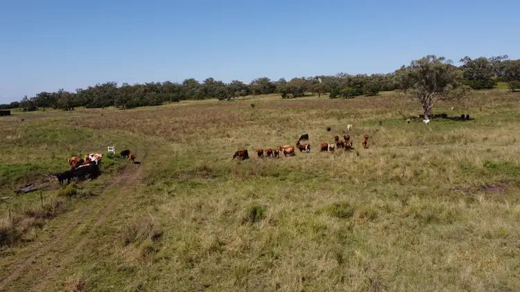 Fourth view of Homely rural property listing, Lot 1 Kelly Road, Scrubby Mountain QLD 4356