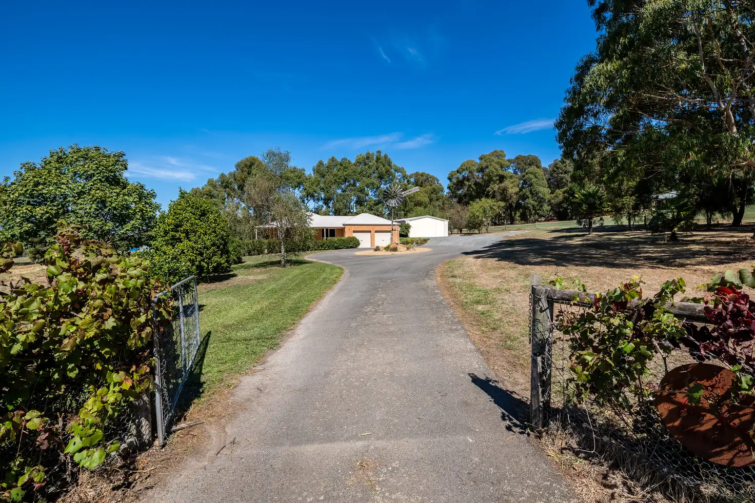 Main view of Homely house listing, 289 Jollys Hill Road, Ross Creek VIC 3351