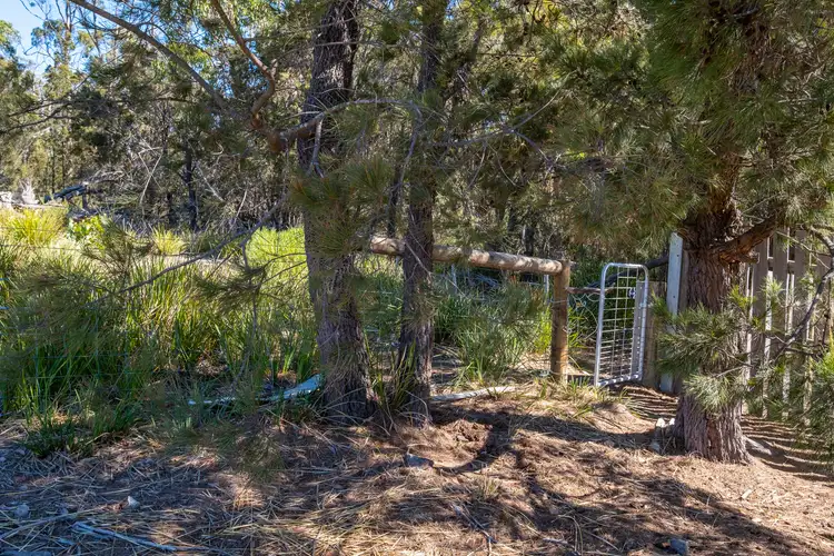 Seventh view of Homely land listing, 22 Lily Street, White Beach TAS 7184