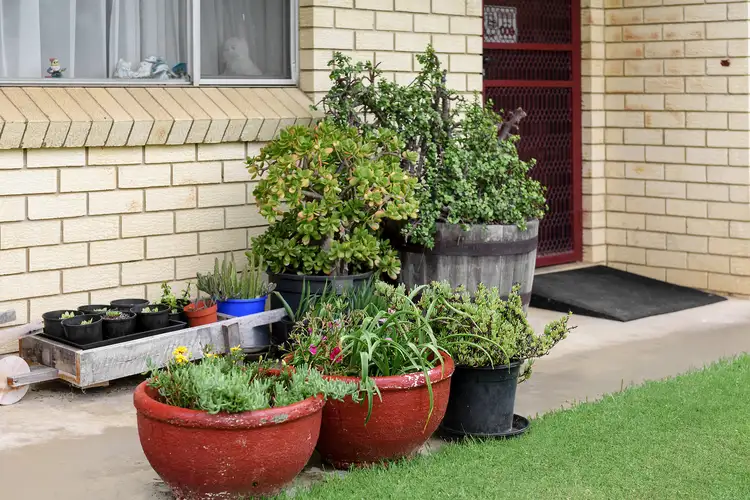 Fourth view of Homely house listing, 8 Gordon Road, Bowral NSW 2576