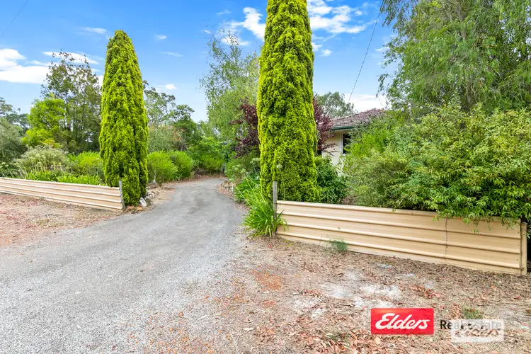 Main view of Homely house listing, 23 Margaret Street, Mount Barker WA 6324