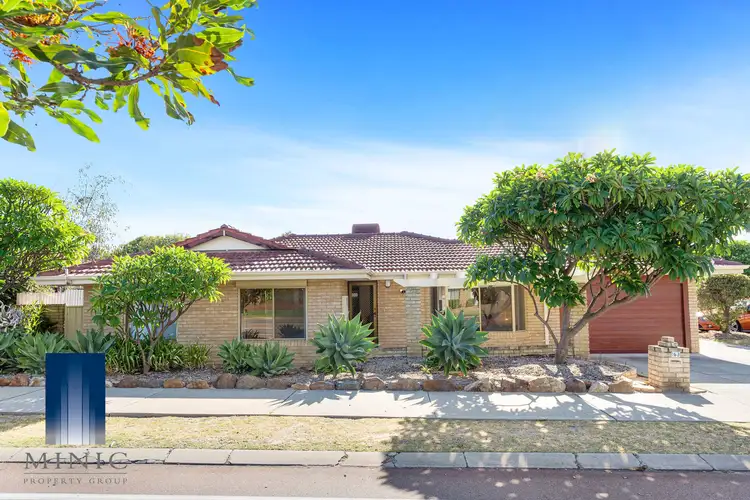 163 Rostrata Avenue, Willetton WA 6155
