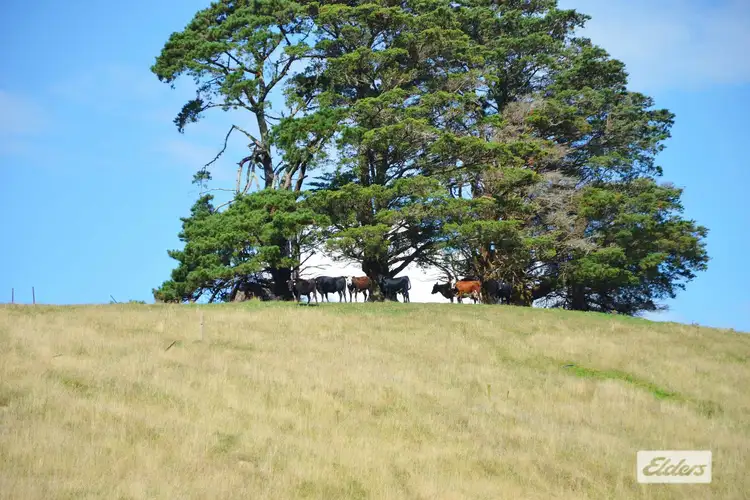 Fourth view of Homely rural property listing, 270 Old Boolarra-Foster Road, Mount Best VIC 3960