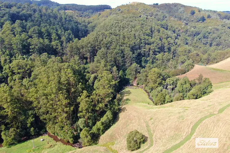 Seventh view of Homely rural property listing, 270 Old Boolarra-Foster Road, Mount Best VIC 3960