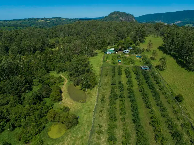 Second view of Homely house listing, 209 Billen Road, Georgica NSW 2480