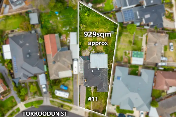 Main view of Homely house listing, 11 Torroodun Street, Mount Waverley VIC 3149
