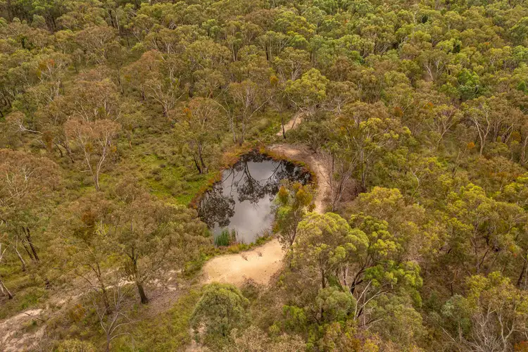 Fourth view of Homely rural property listing, 1713 Cope Road, Gulgong NSW 2852