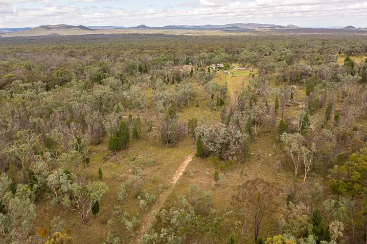 Fifth view of Homely rural property listing, 1713 Cope Road, Gulgong NSW 2852
