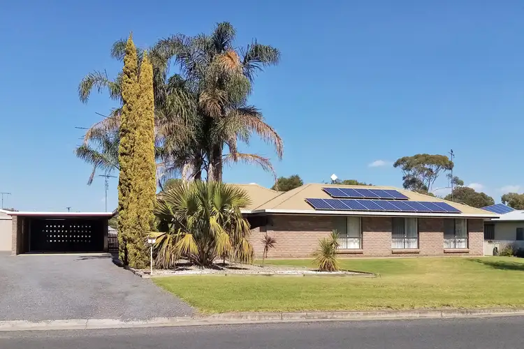 3 Alexander Street, Tarpeena SA 5277