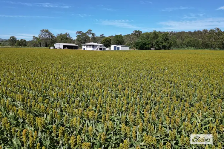 Fourth view of Homely rural property listing, 9 Crowley Road, Glen Cairn QLD 4342