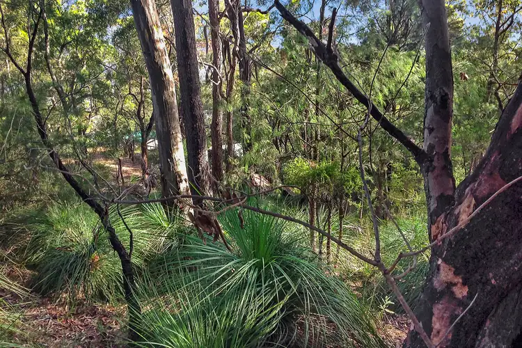 Fourth view of Homely land listing, 113 Kalinda Road, Bar Point NSW 2083