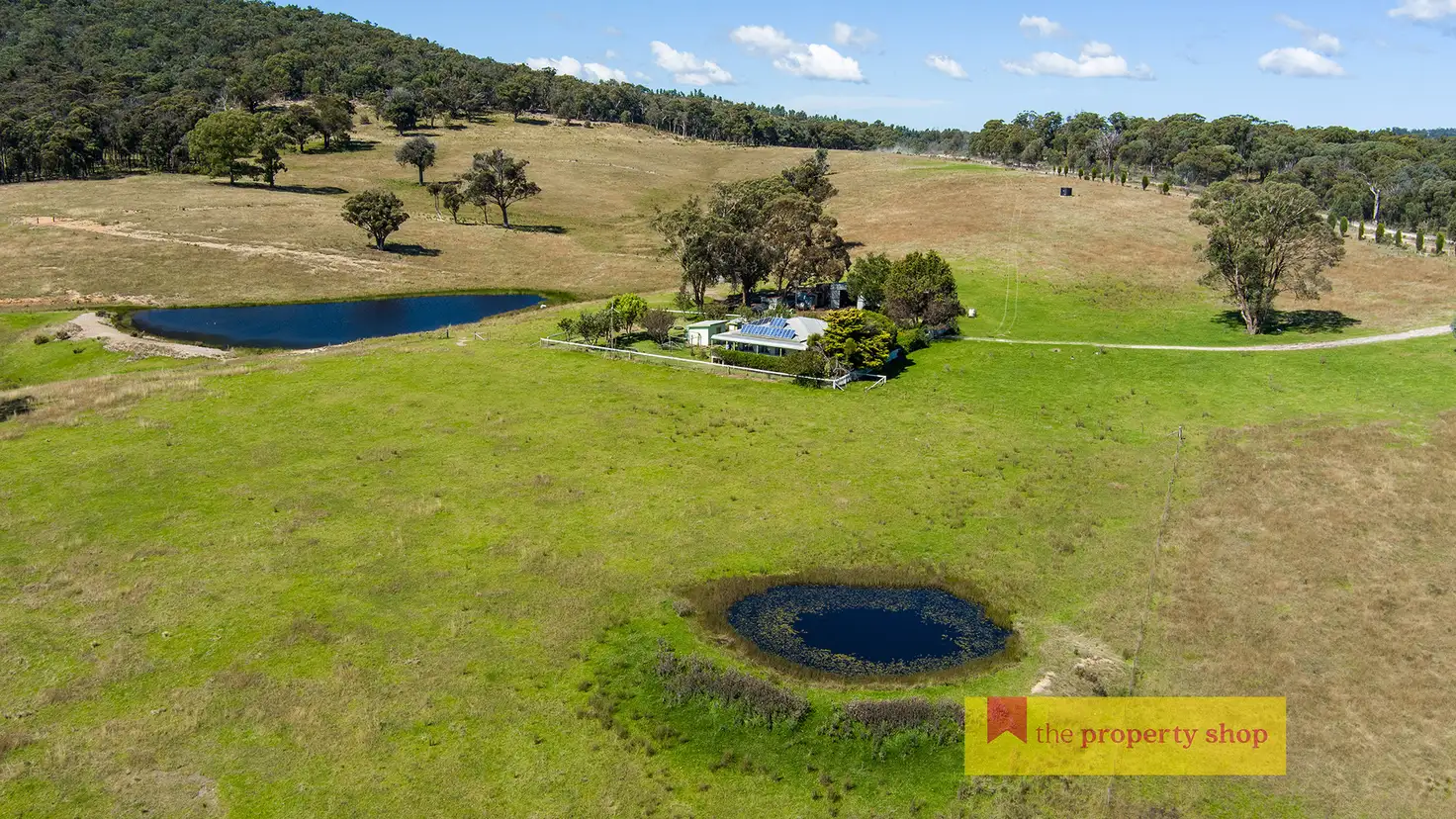 Main view of Homely rural property listing, 1675 Bocoble Road, Mudgee NSW 2850