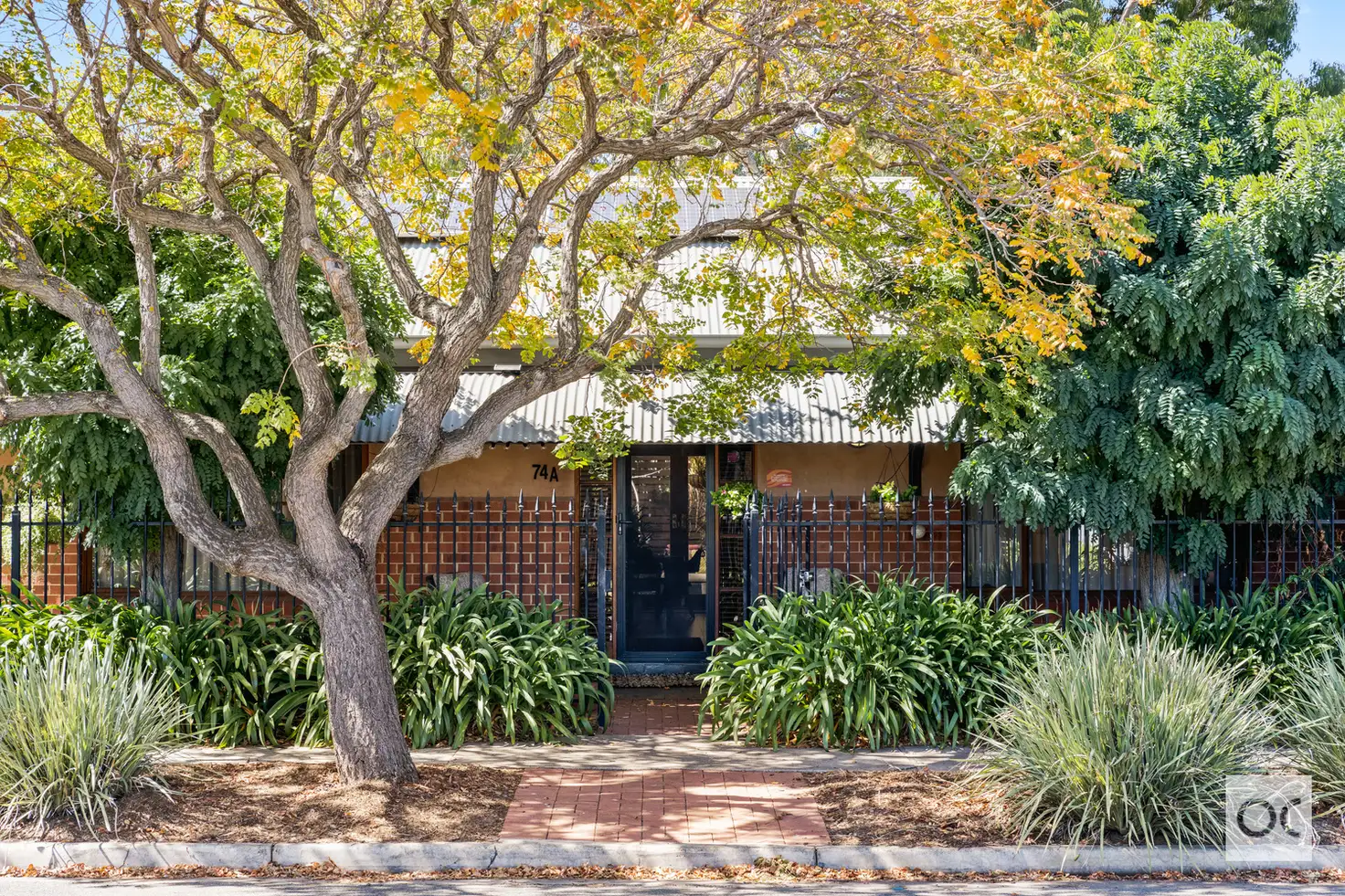 Main view of Homely house listing, 74A McDonnell Avenue, West Hindmarsh SA 5007