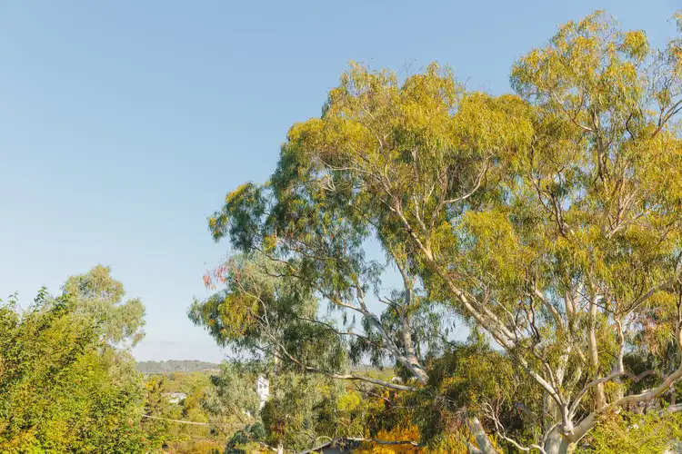 Sixth view of Homely house listing, 10 Mitta Place, Kaleen ACT 2617