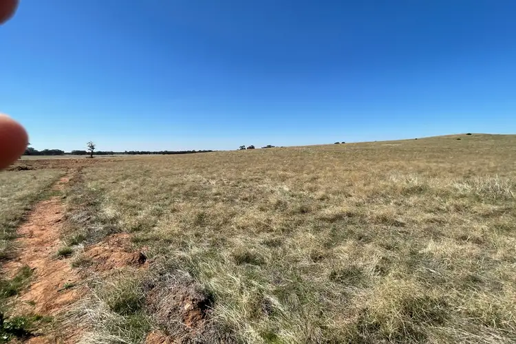 Fourth view of Homely rural property listing, 65 Eucy Road, Korong Vale VIC 3520