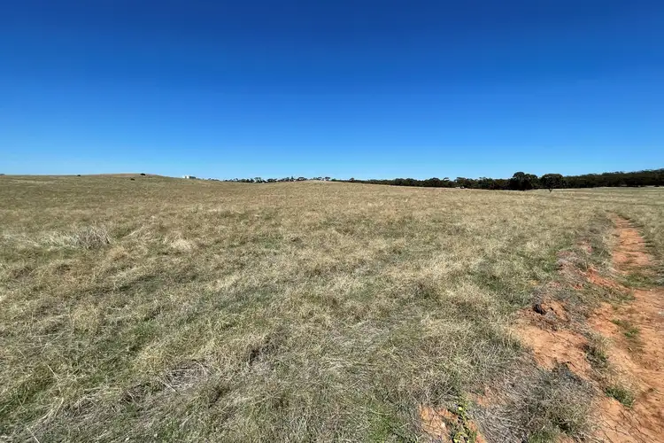 Seventh view of Homely rural property listing, 65 Eucy Road, Korong Vale VIC 3520