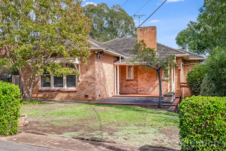 49 George Street, Torrens Park SA 5062