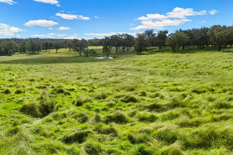 Fourth view of Homely rural property listing, 402 Centennial Road, Bowral NSW 2576