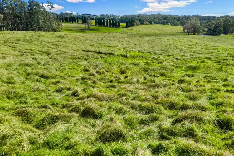 Fifth view of Homely rural property listing, 402 Centennial Road, Bowral NSW 2576