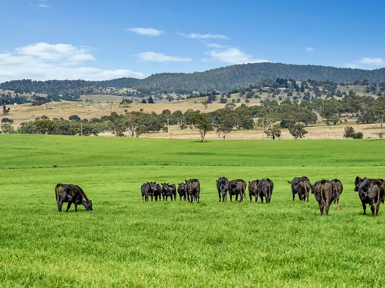 Monaro Highway, Cooma NSW 2630