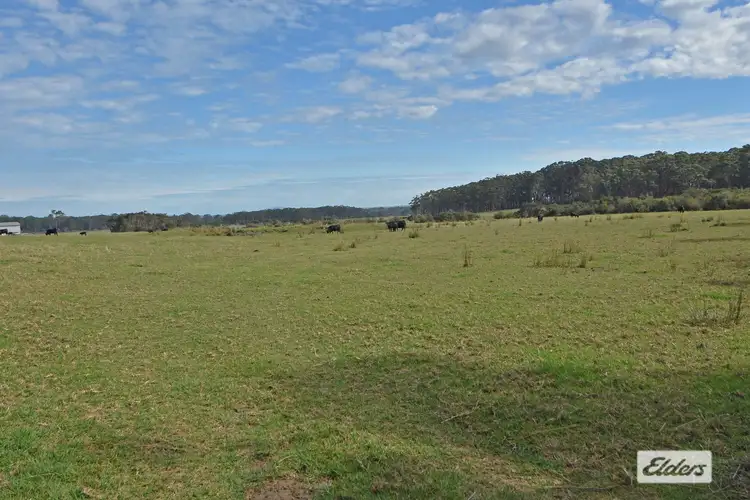Fifth view of Homely land listing, LOT 1 Bolitho Road, Bornholm WA 6330