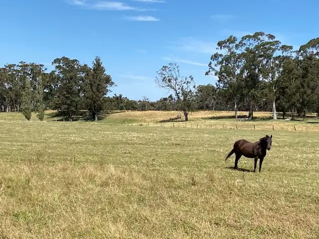 Second view of Homely rural property listing, 813 Tarra Valley Road, Devon North VIC 3971