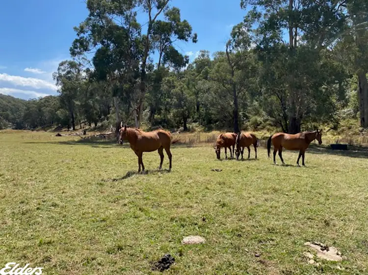Fifth view of Homely rural property listing, 813 Tarra Valley Road, Devon North VIC 3971