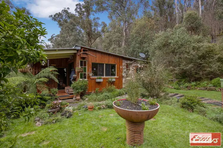 Second view of Homely rural property listing, 45 Point Lookout Road, Ebor NSW 2453