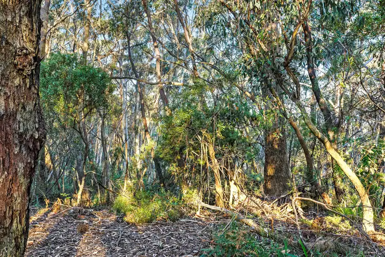Fifth view of Homely land listing, 18 Nellies Glen Road, Katoomba NSW 2780