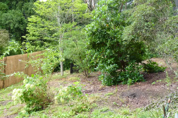 Fifth view of Homely land listing, 20 B Northcote Road, Leura NSW 2780
