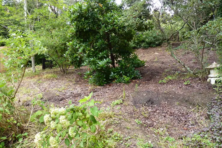 Seventh view of Homely land listing, 20 B Northcote Road, Leura NSW 2780