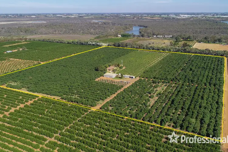 6376 Sturt Highway, Trentham Cliffs NSW 2738