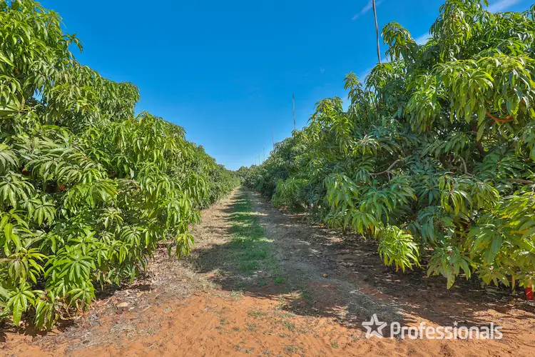 Third view of Homely rural property listing, 6376 Sturt Highway, Trentham Cliffs NSW 2738