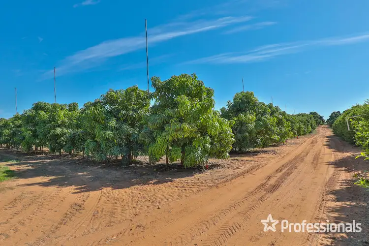 Fifth view of Homely rural property listing, 6376 Sturt Highway, Trentham Cliffs NSW 2738