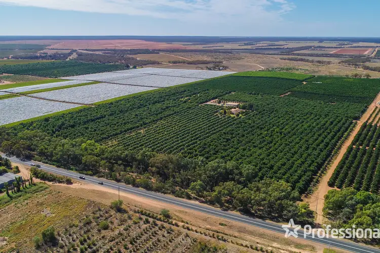 Sixth view of Homely rural property listing, 6376 Sturt Highway, Trentham Cliffs NSW 2738