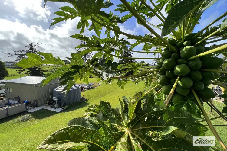 Fourth view of Homely land listing, 16 Billman Court, Chatsworth QLD 4570