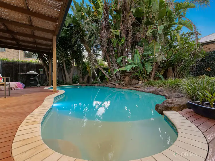 Second view of Homely house listing, 11 Belle Circuit, Berwick VIC 3806