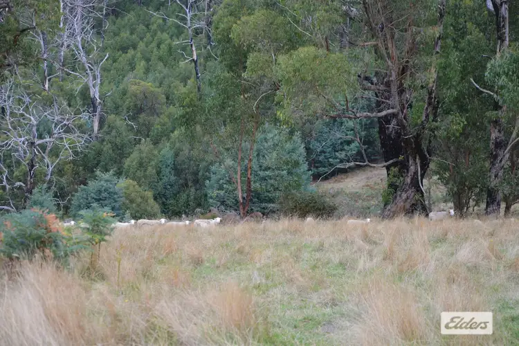Second view of Homely rural property listing, 710 Forresters Road, Hallston VIC 3953