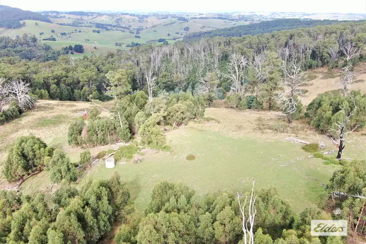 Third view of Homely rural property listing, 710 Forresters Road, Hallston VIC 3953