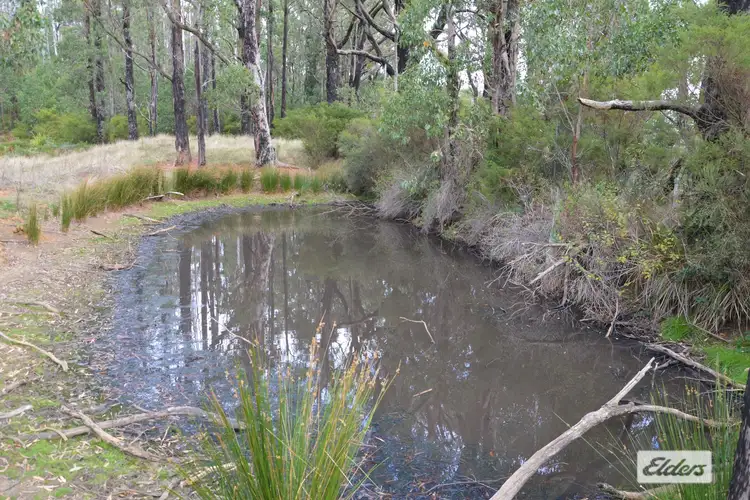 Fifth view of Homely rural property listing, 710 Forresters Road, Hallston VIC 3953